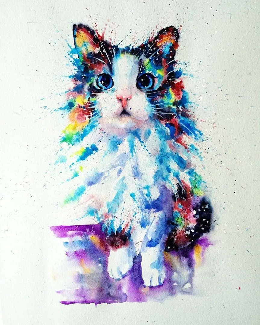 Chat peinture eau - liviing