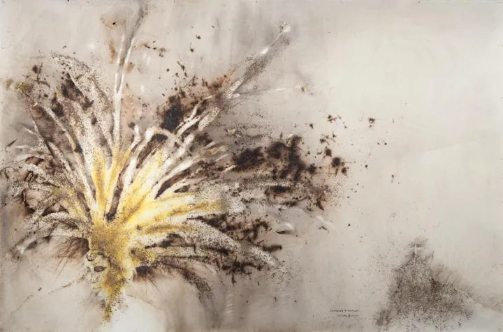 Brasilia - Cai Guo-Qiang