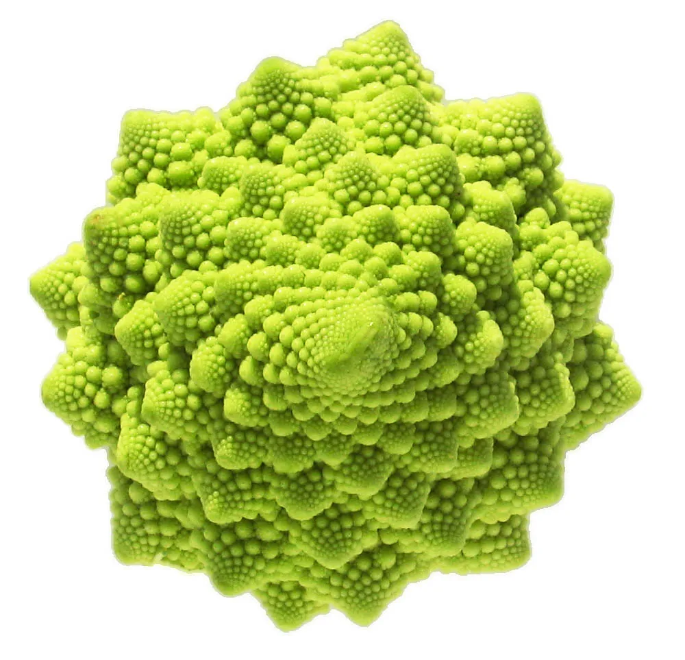 Le chou romanesco : une fractale naturelle