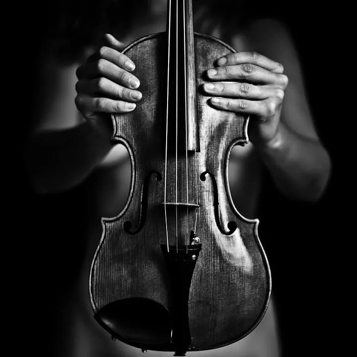 Le Violon - Benoit Courti