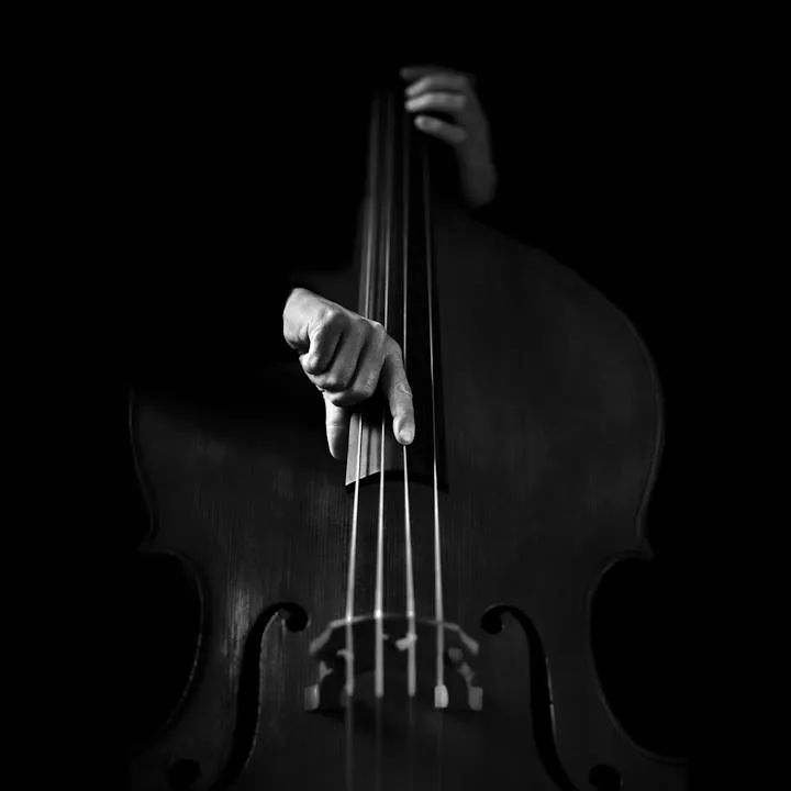 Violon - Benoit Courti