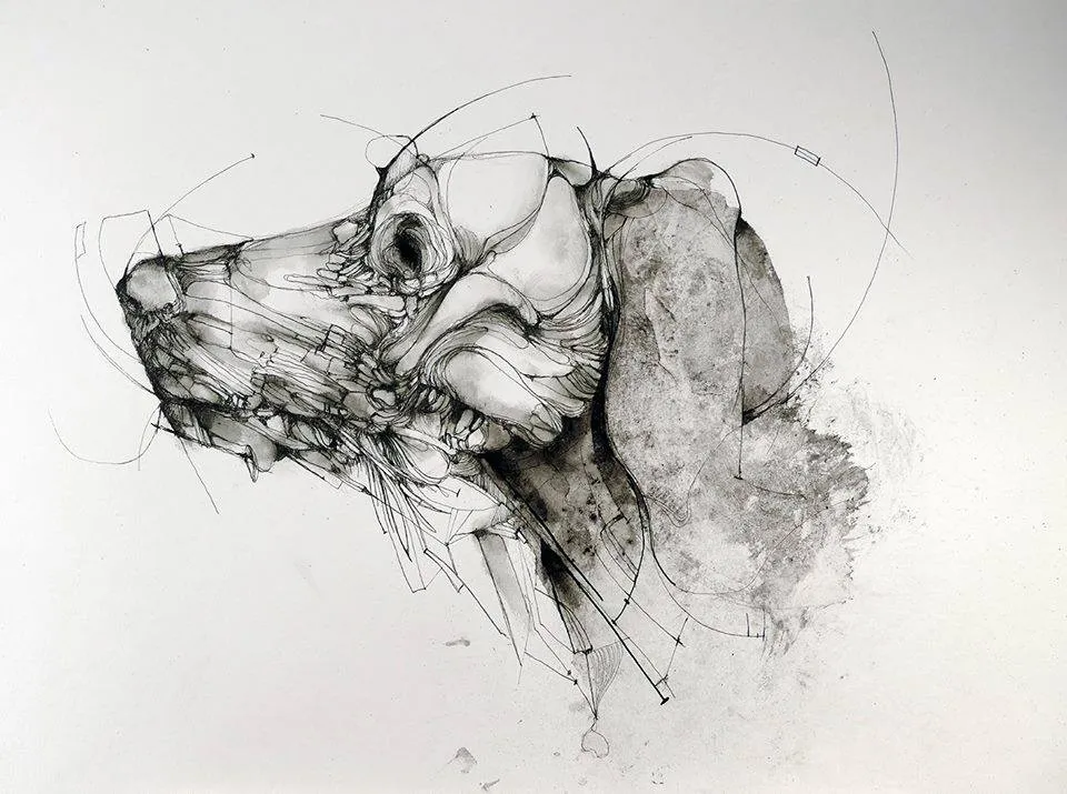 Chien © Eric Lacombe