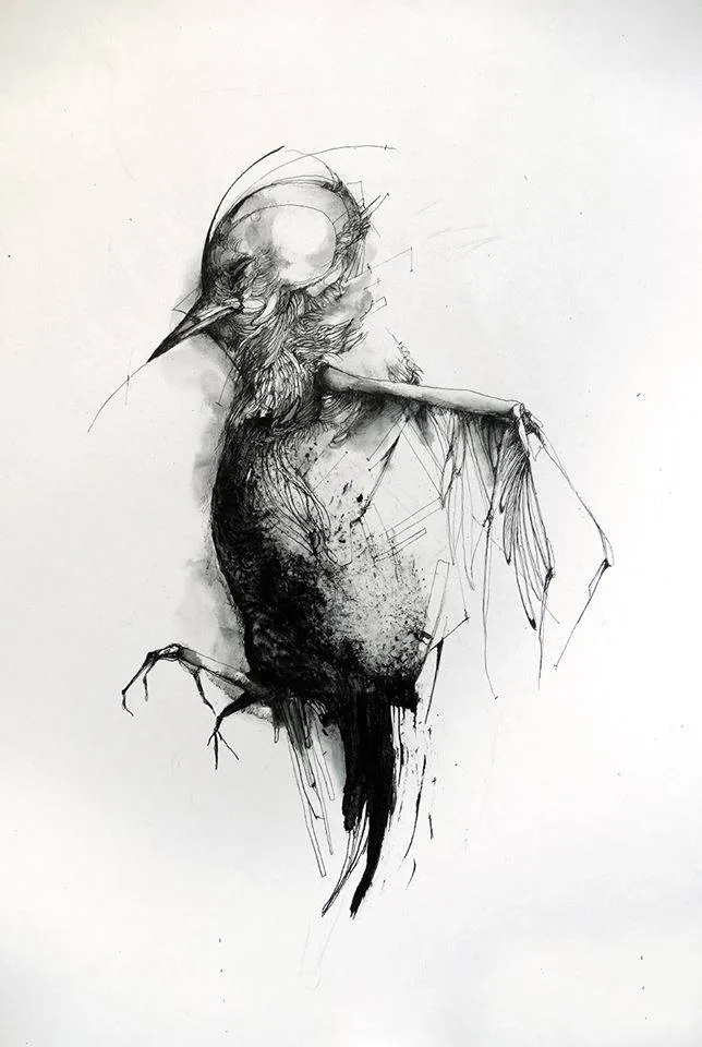 Oiseau - Eric Lacombe