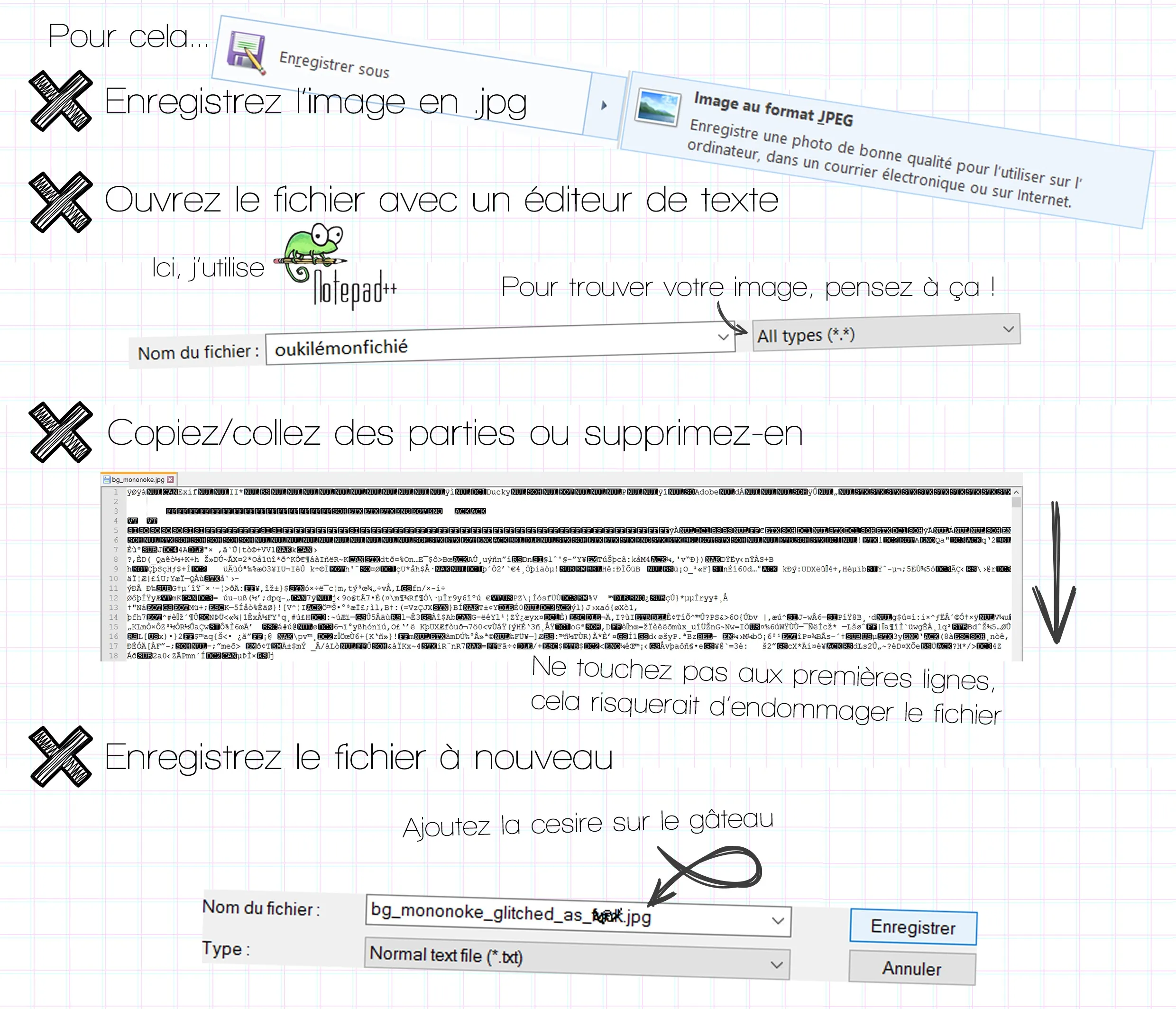 Enregistrer l’image en .jpg / ouvrir avec notepad / modifier / enregistrer à nouveau