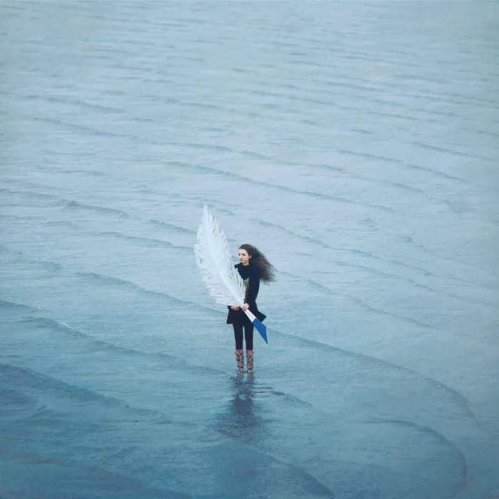 Plume © Oleg Oprisco