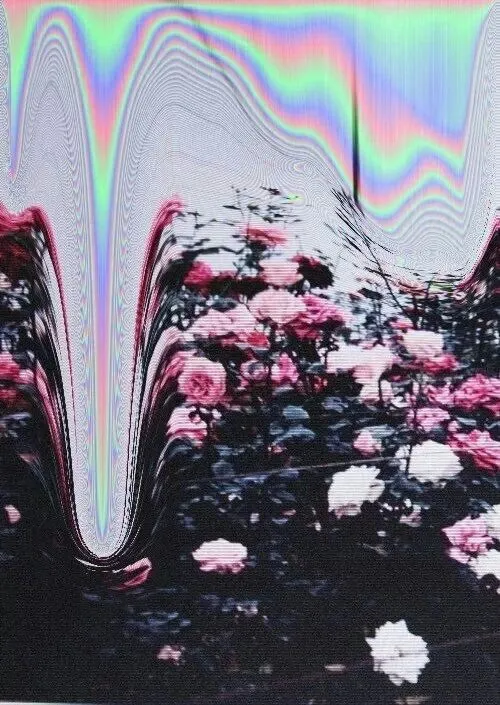 Roses glitchées - HyacinthAorchis