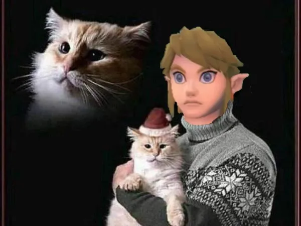 Link avec un chat dans les bras