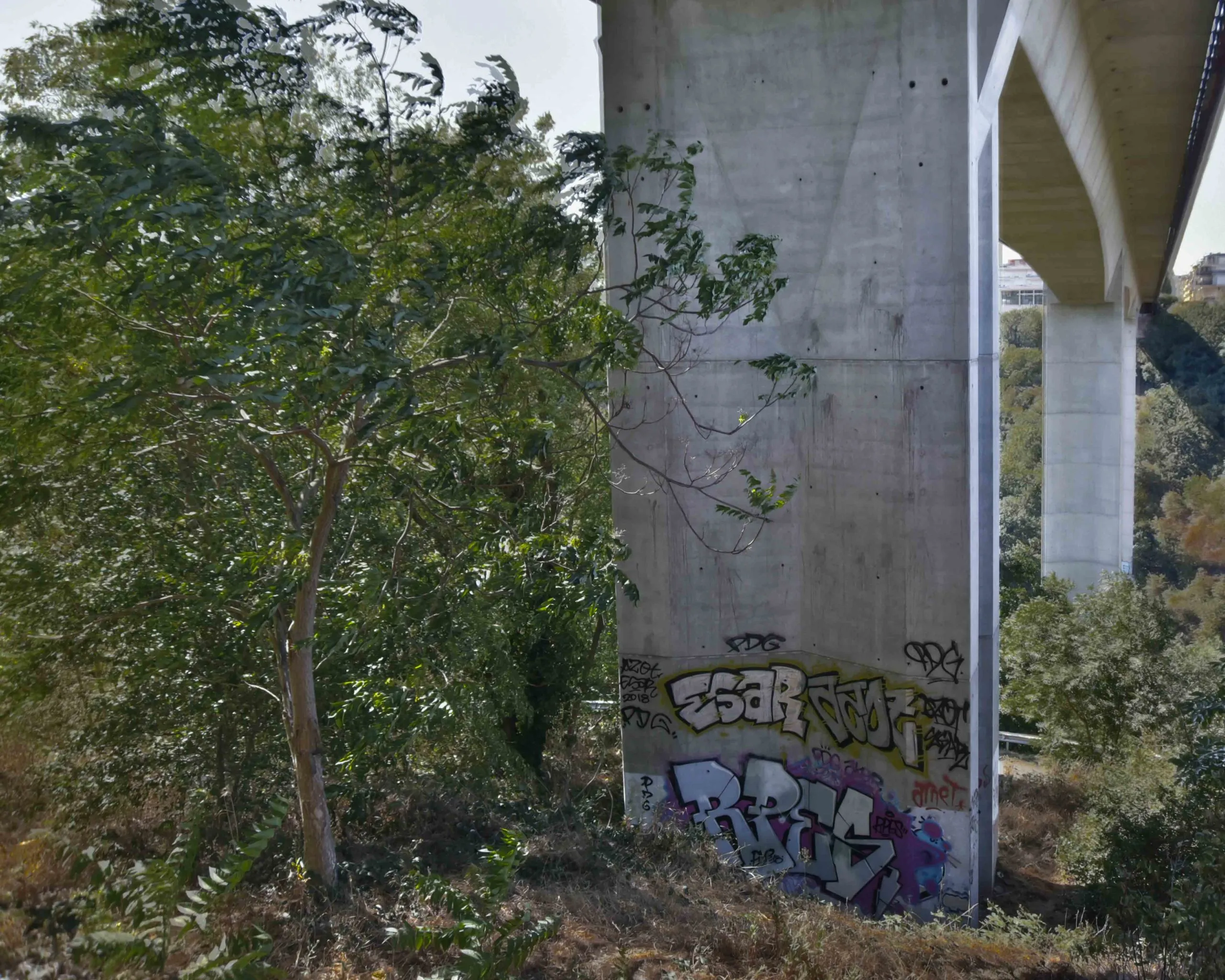 Viaduc de Bourran street art Rodez