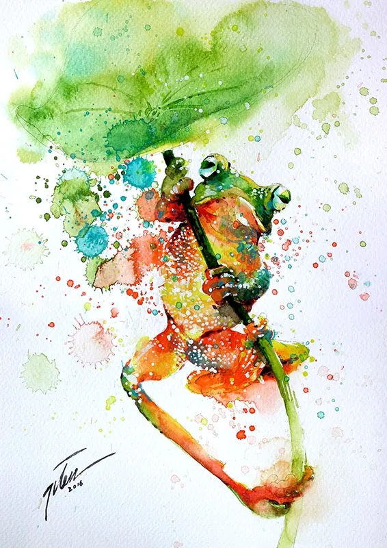 Grenouille © Tilen Ti