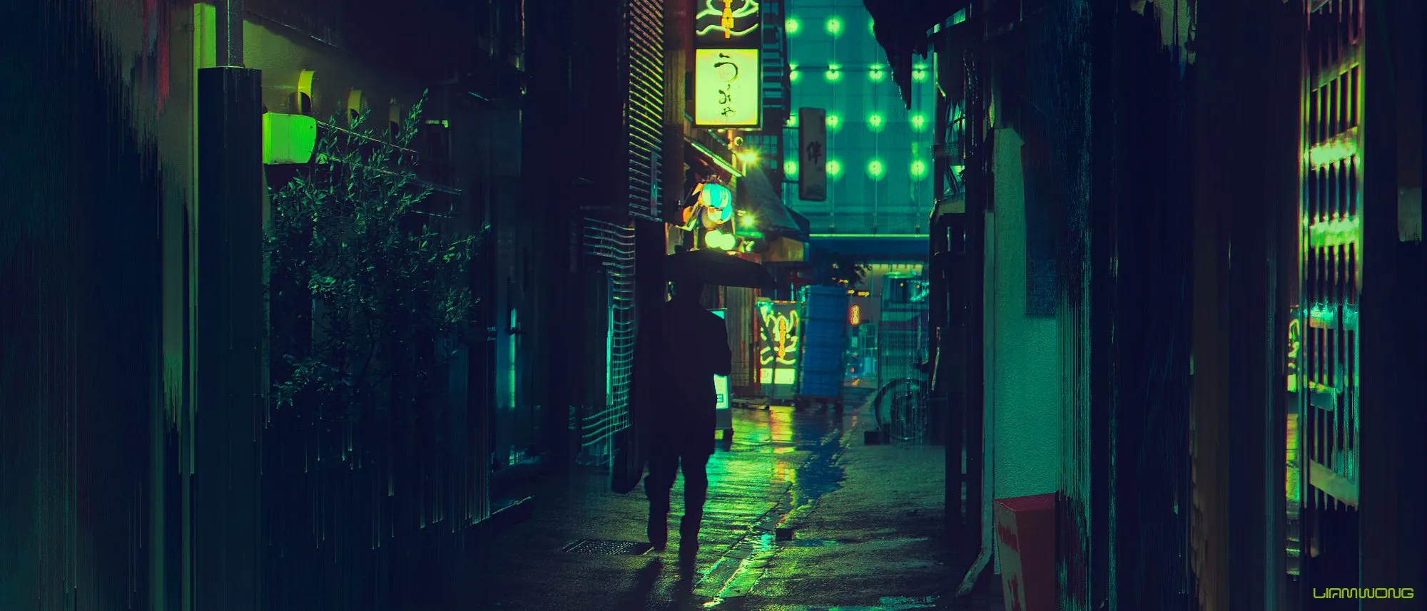 Tokyo Nocturne / Liam Wong