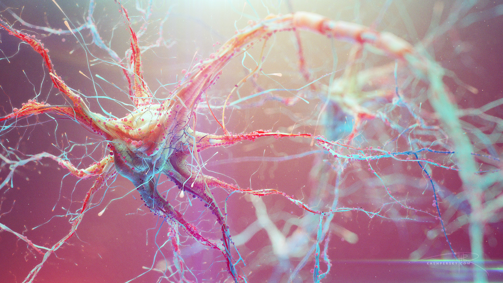 Разрушение клеток организма. Нейрон клетка головного мозга. Нейроны и нейронные связи. Нервная система человека Нейрон. Нейроны фон Экономо.