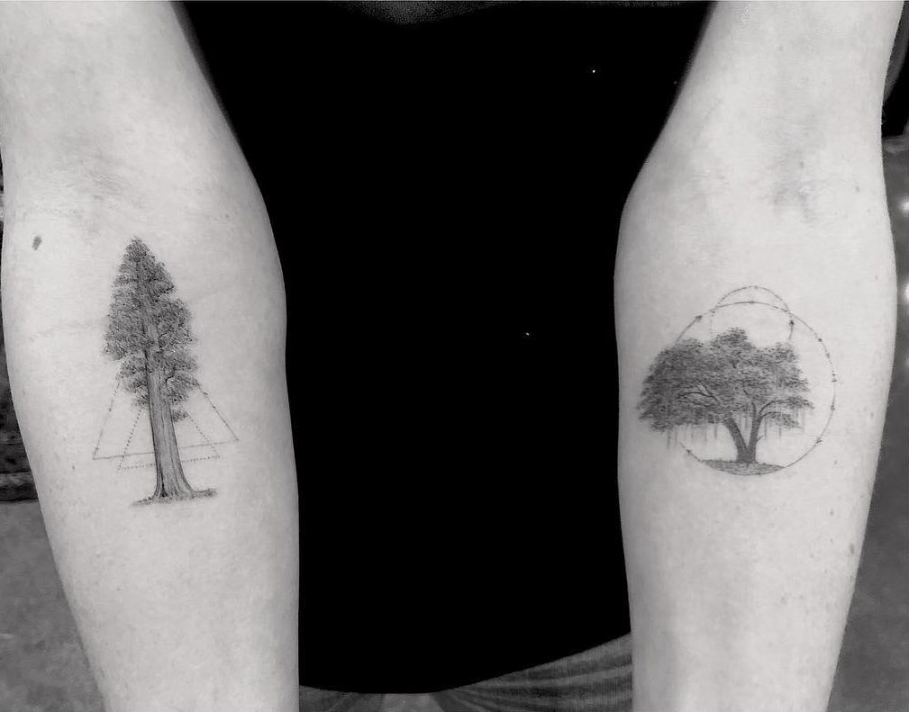 Tatouages d’arbres – Dr Woo